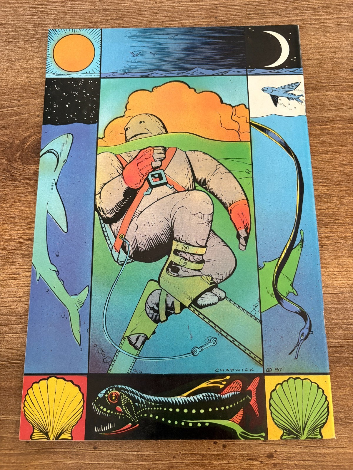 Image #2