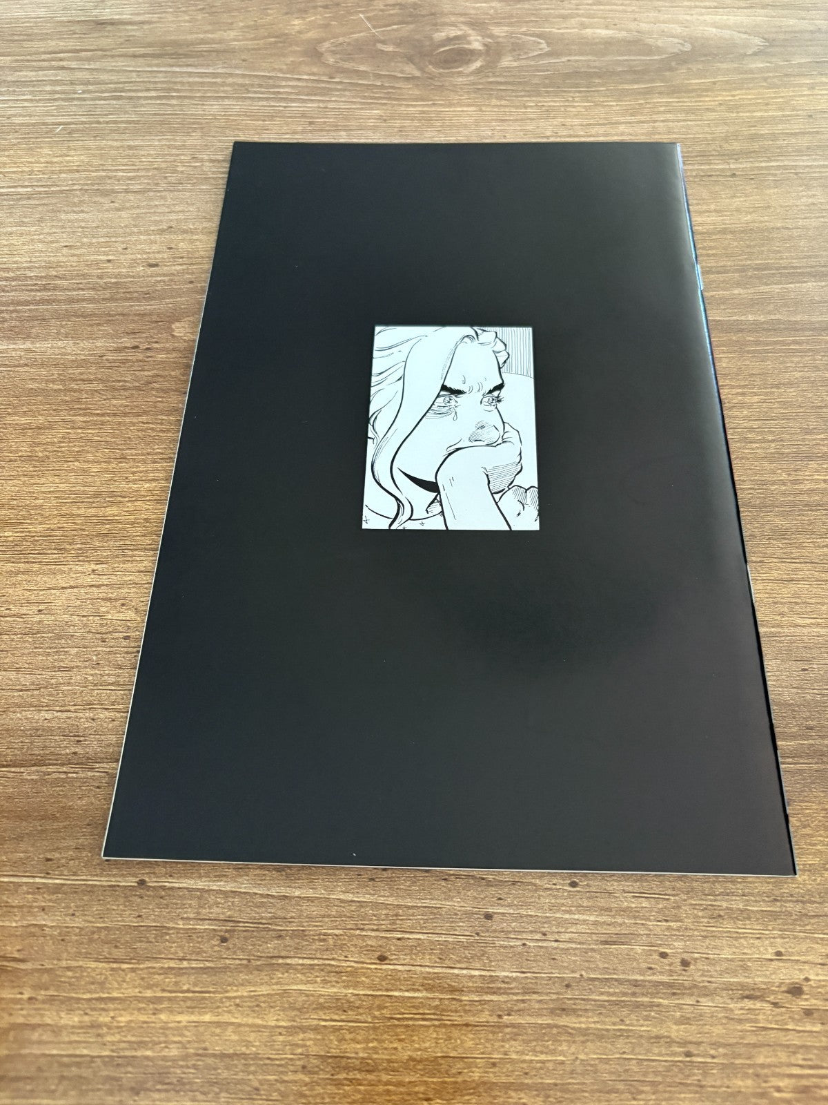 Image #2