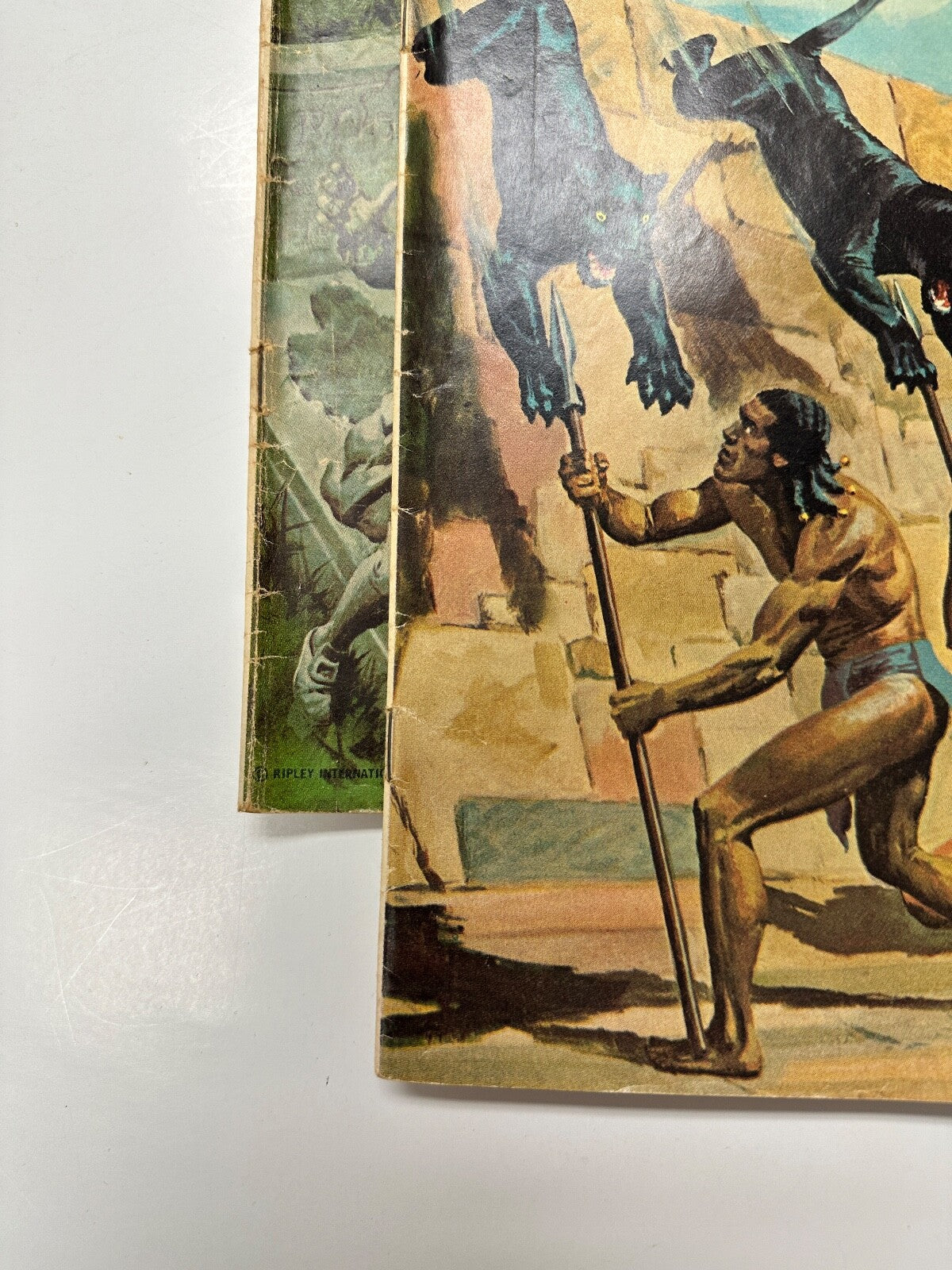 Image #4