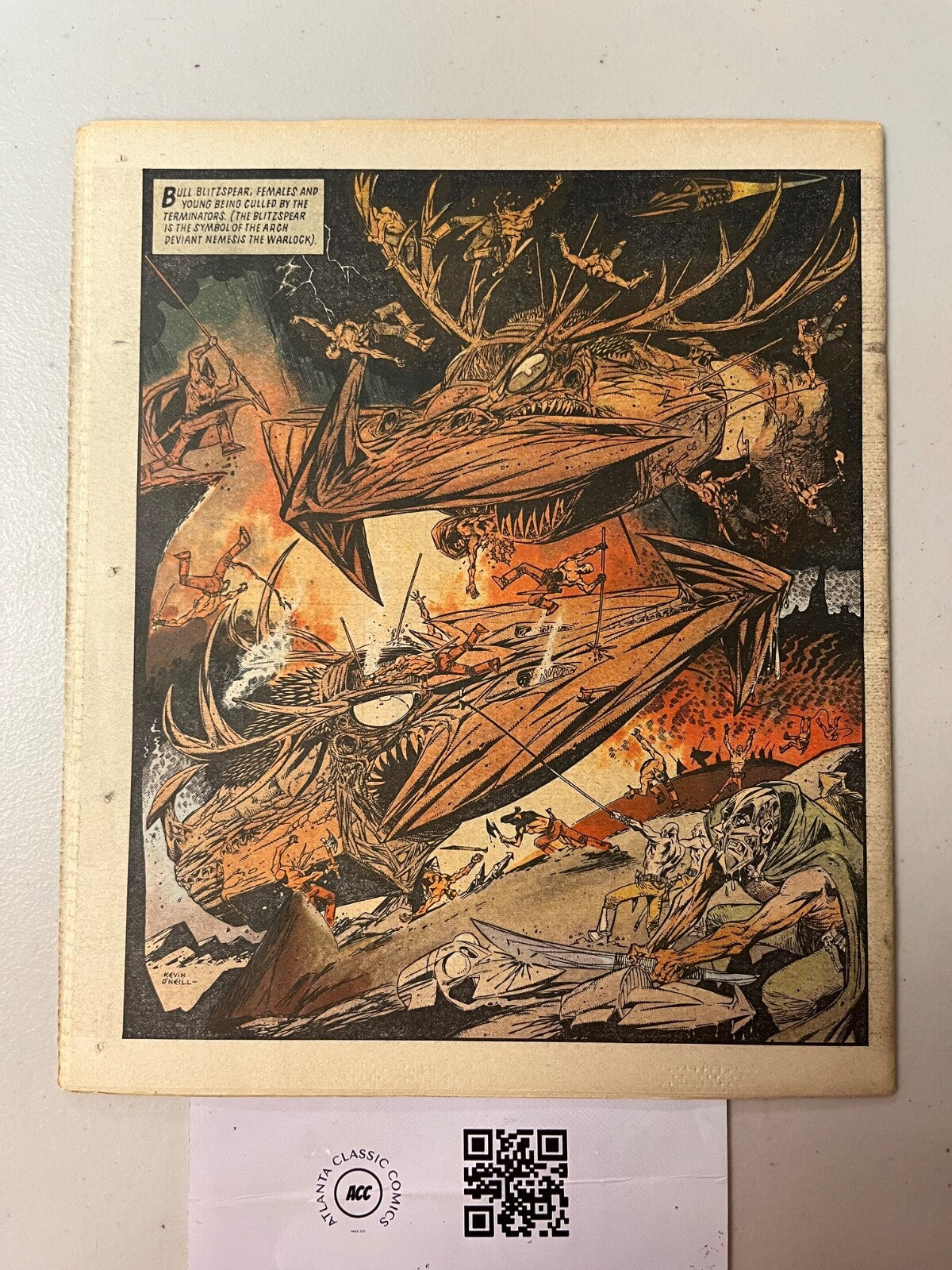 Image #2