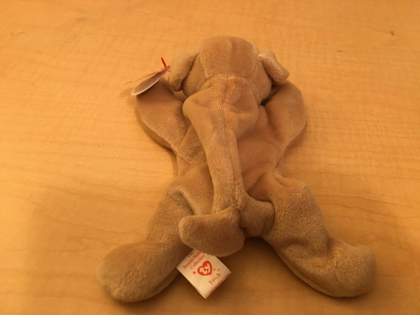 Image #4
