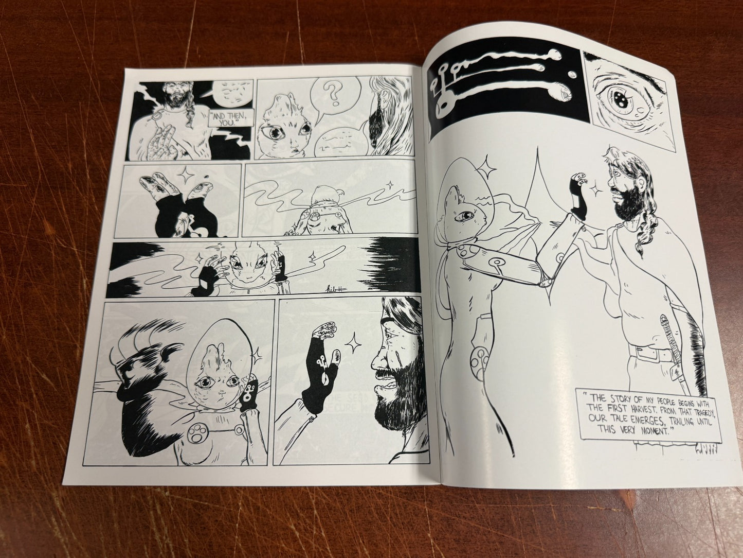 Image #5