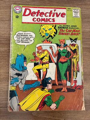 Descriptive image text