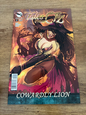 Tales From Oz # 2 NM 1st Print Zenescope Comic Book Variant Cover Grimm 12 J480