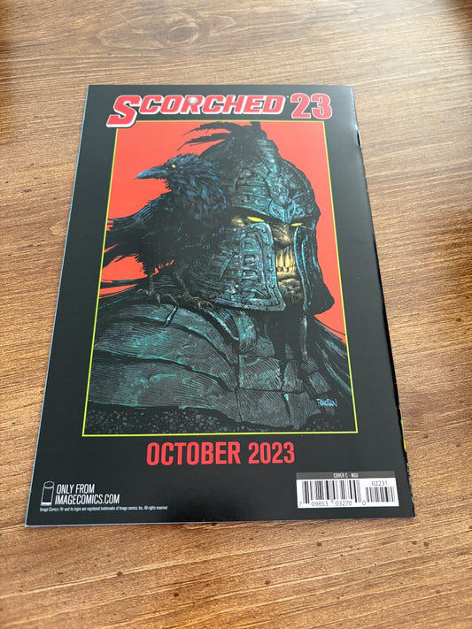 Image #2