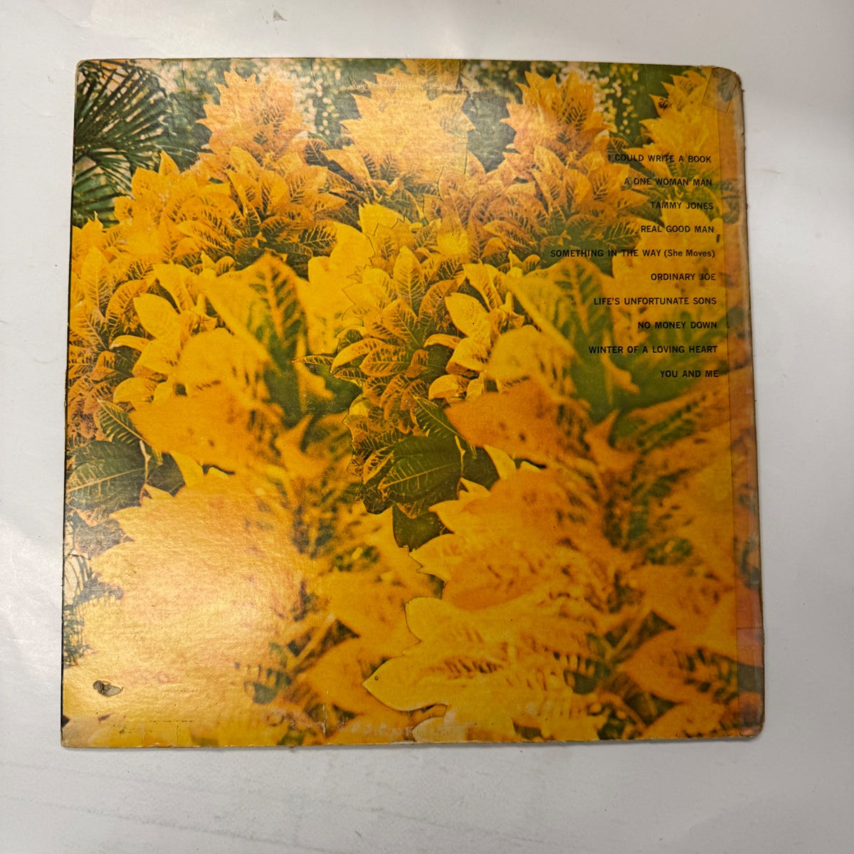 Image #2