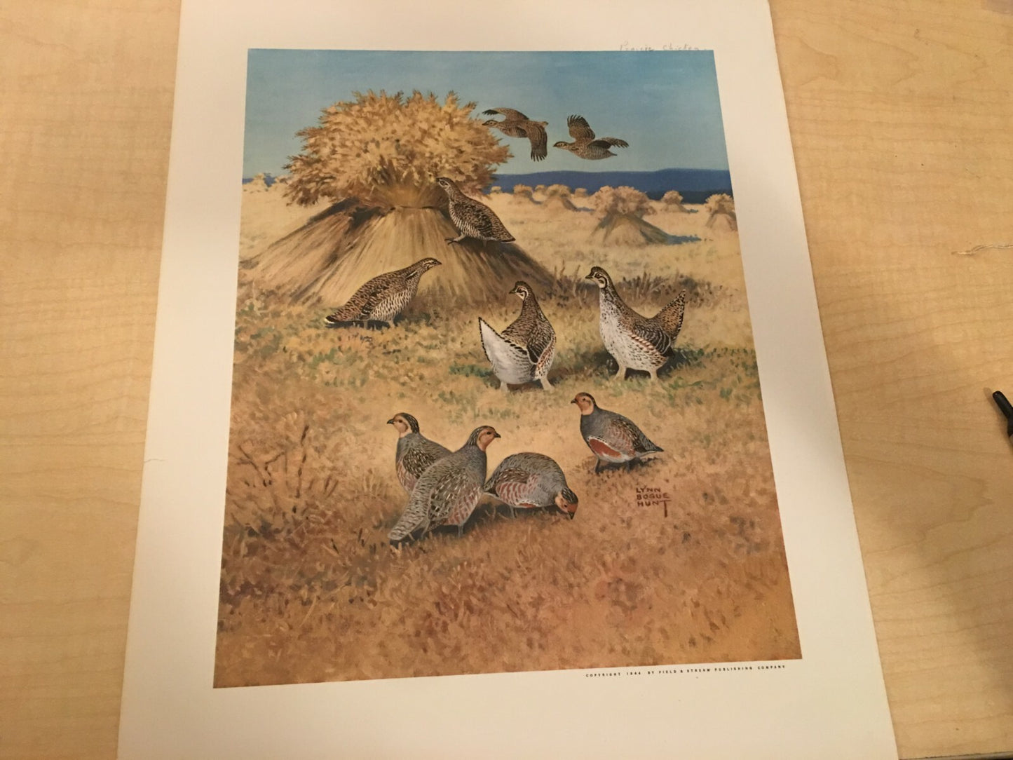 Image #3