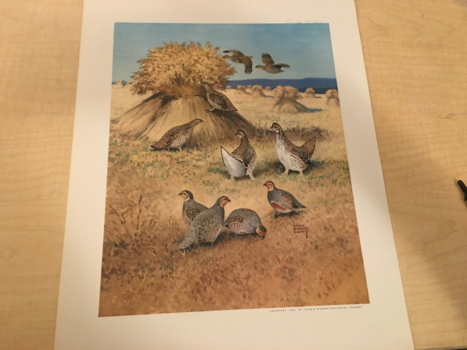 Image #3