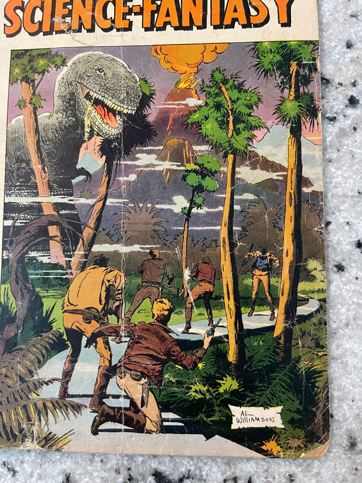 Image #4