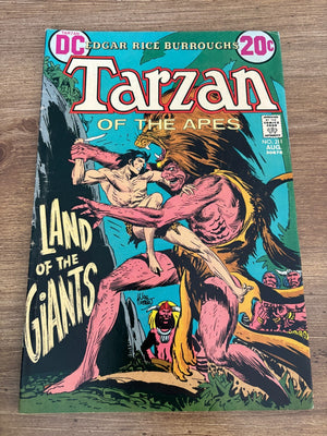 Tarzan # 211 FN DC Comic Book Edgar Rice Burroughs Jungle Apes 10 J472