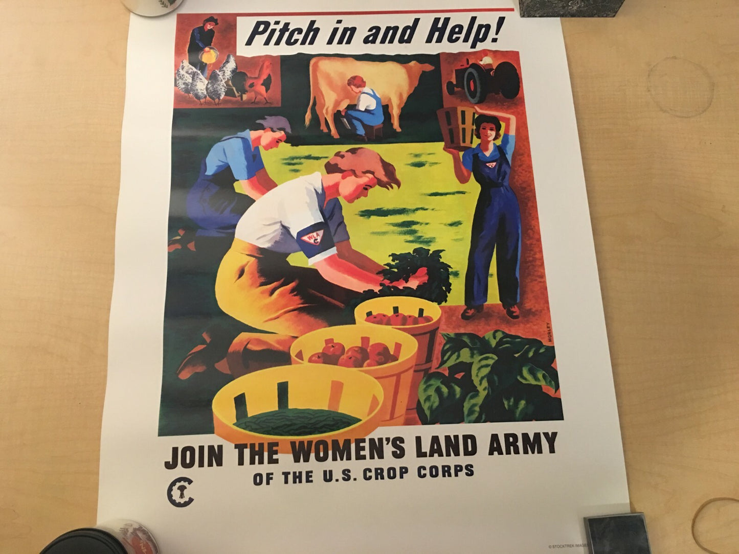 Image #3