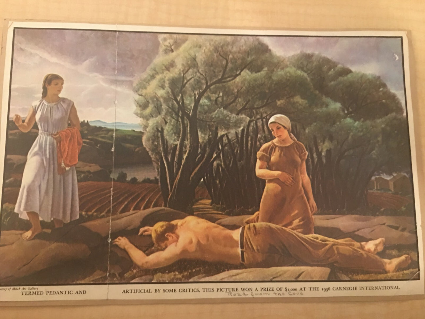 Image #3