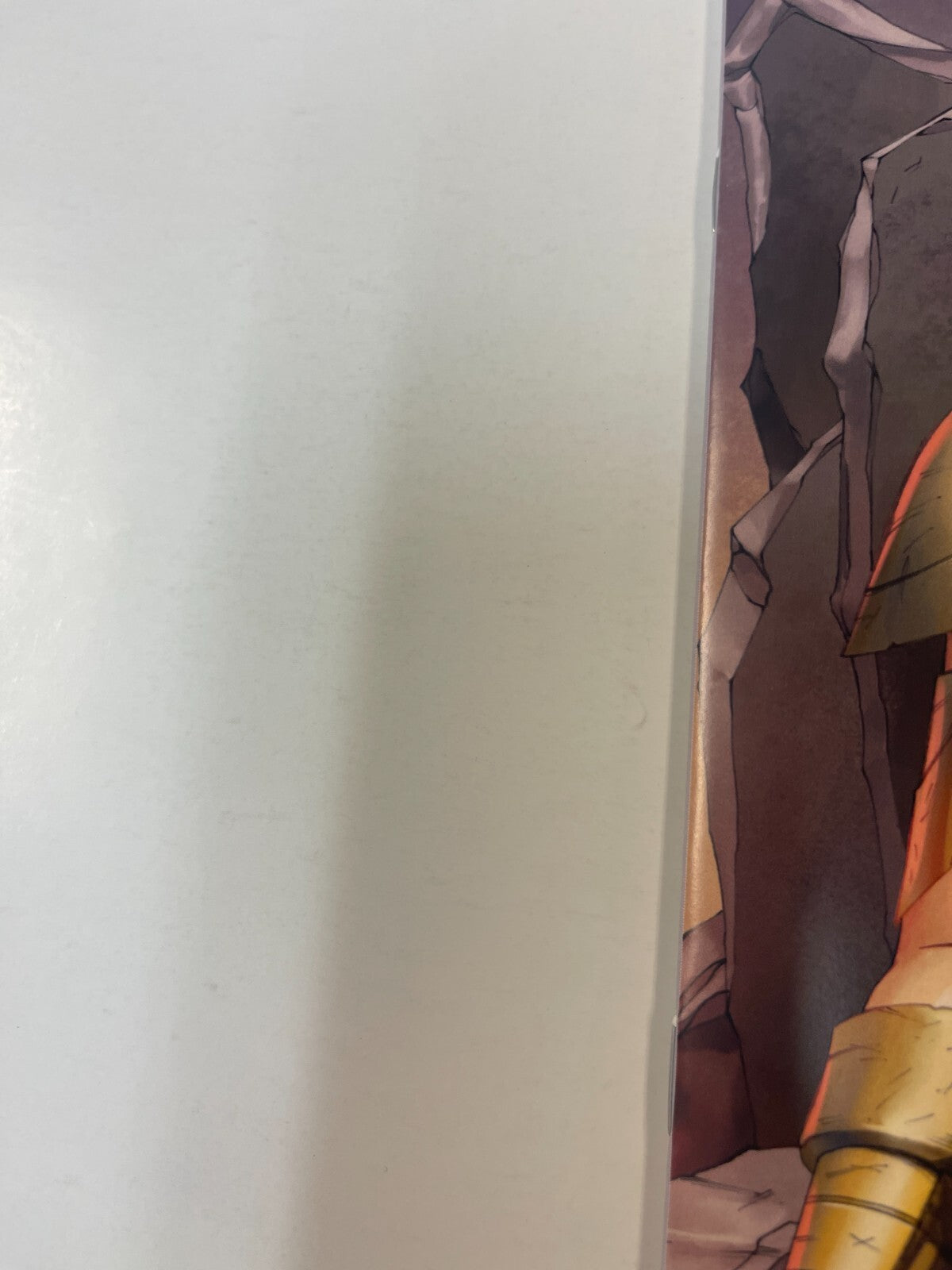 Image #12
