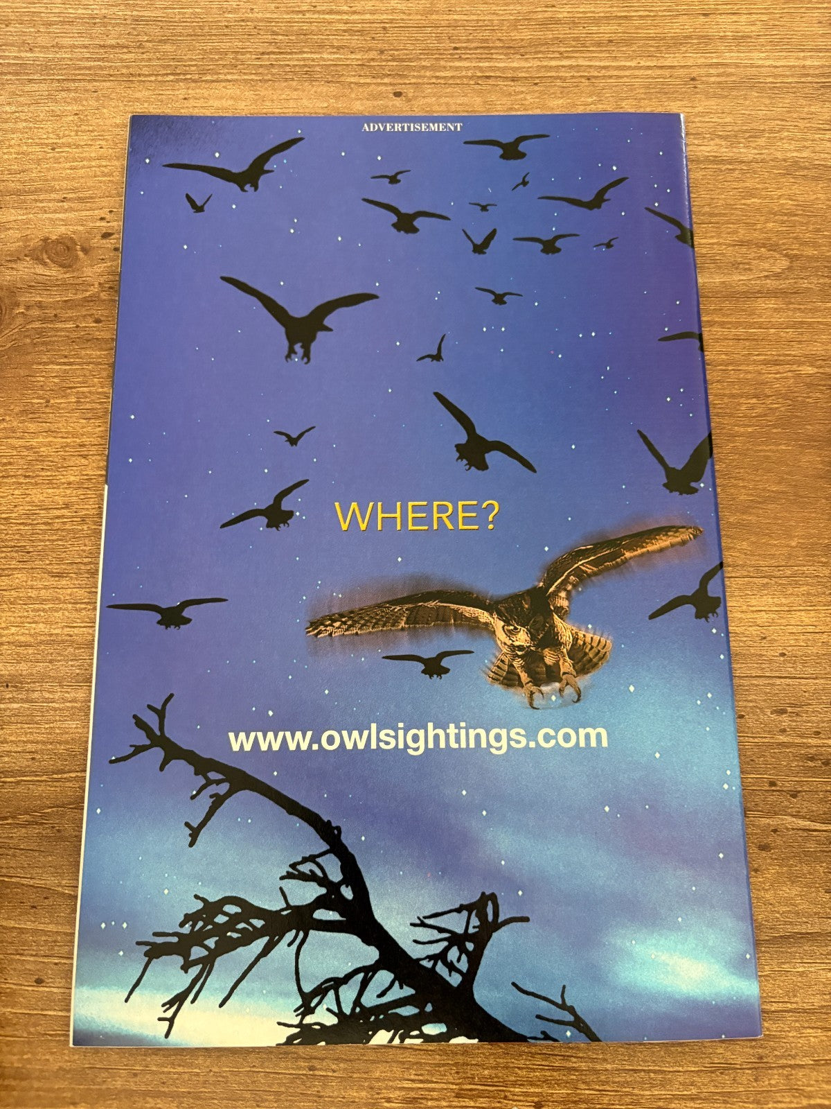 Image #2