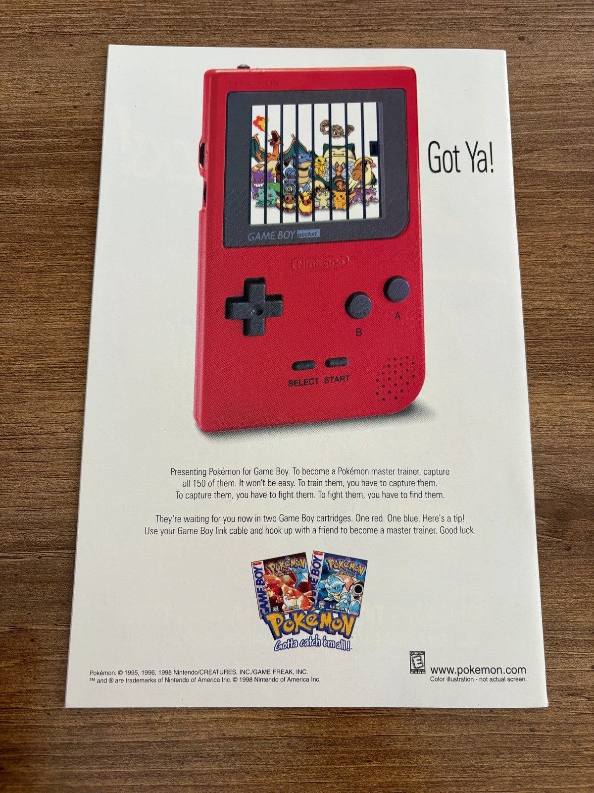 Image #2