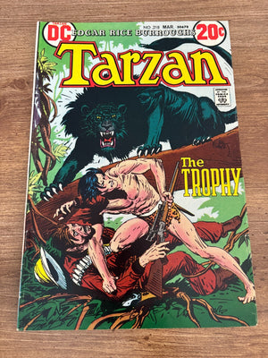Tarzan # 218 FN DC Comic Book Edgar Rice Burroughs Jungle Apes 11 J472