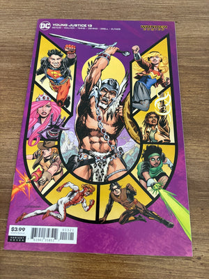 Young Justice # 13 NM 1st Print Variant Cover DC Comic Book 17 J479
