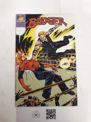 Badger #30 NM First Comic Books Mike Baron 14 HH121